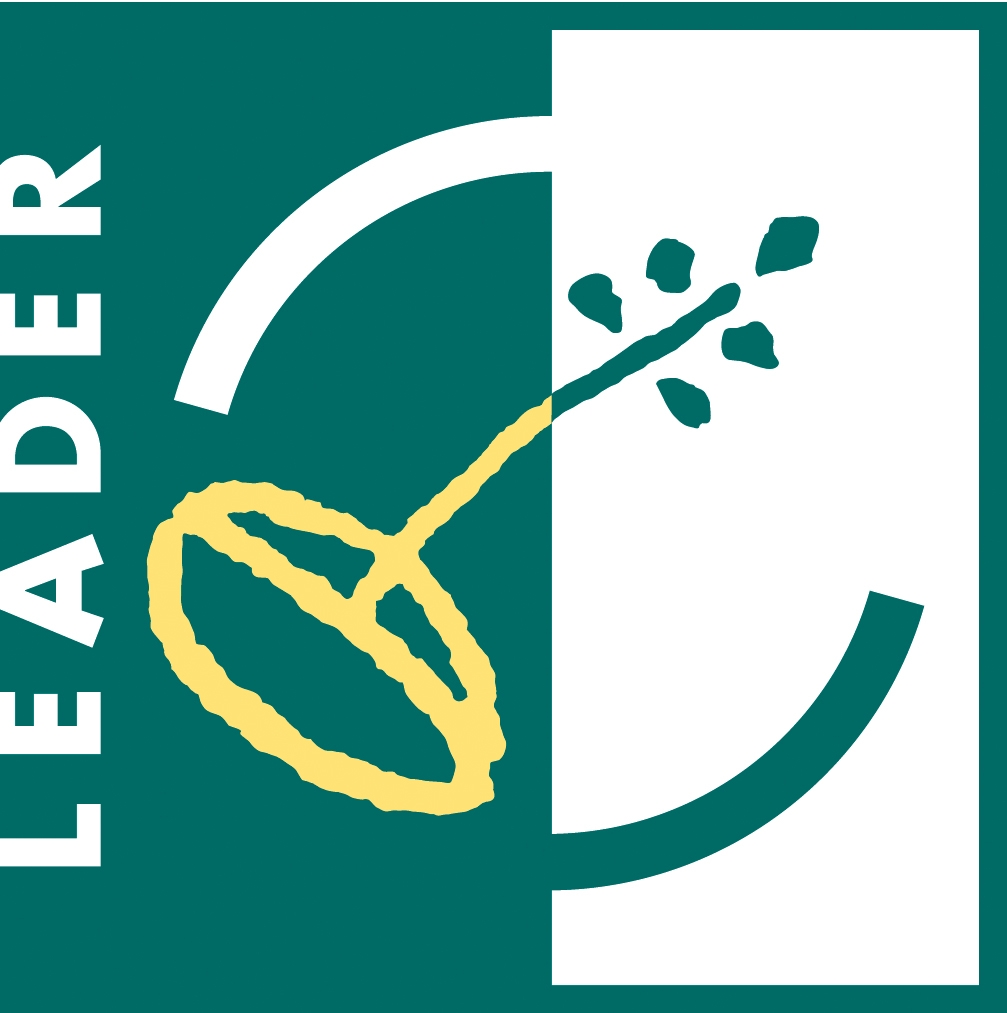 Leader Logo 07 13